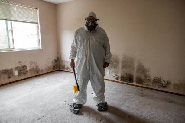 Broomfield, CO Mold Removal Company